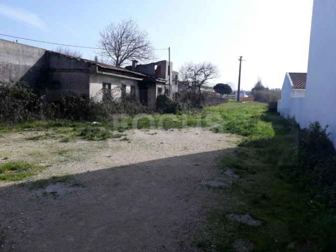 Terreno para Venda em Ílhavo (São Salvador) Foto 5