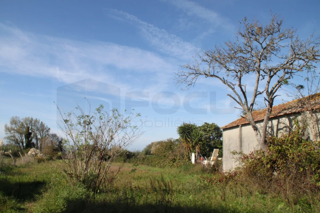 Terreno para Venda em Cacia Foto 6