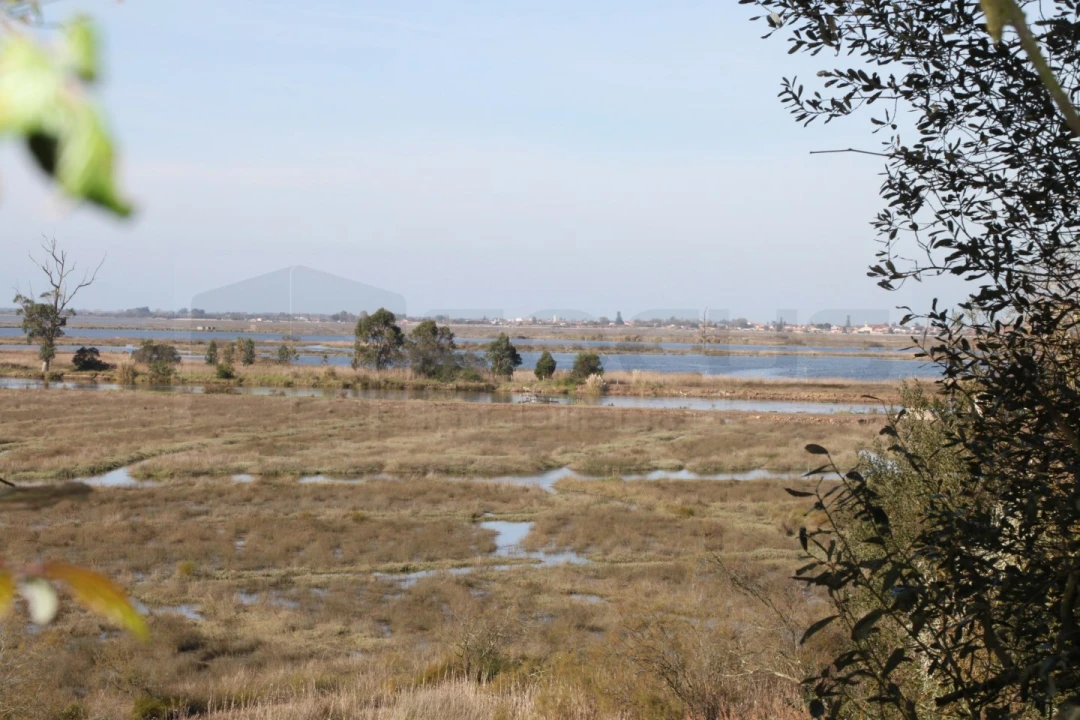 Terreno para Venda em Cacia Foto 1