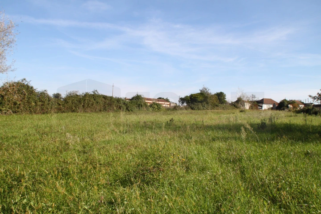 Terreno para Venda em Cacia Foto 9