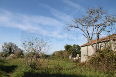 Terreno para Venda em Cacia