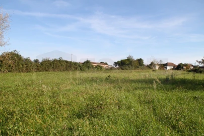 Terreno para Venda em Cacia
