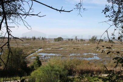 Terreno para Venda em Cacia