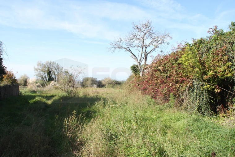 Terreno para Venda em Cacia Foto 5