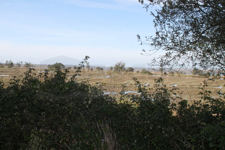 Terreno para Venda em Cacia Foto 3