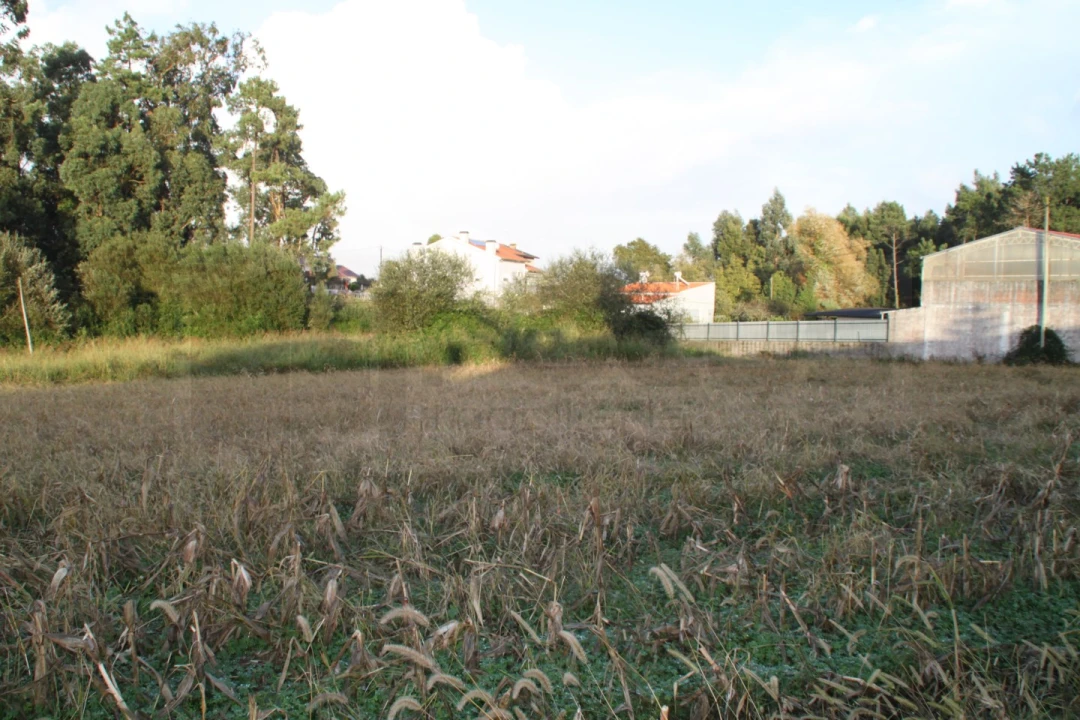 Terreno para Venda em São Bernardo Foto 2