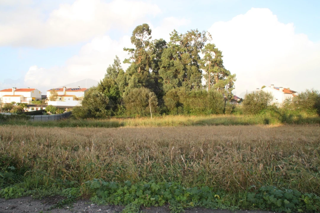 Terreno para Venda em São Bernardo Foto 1