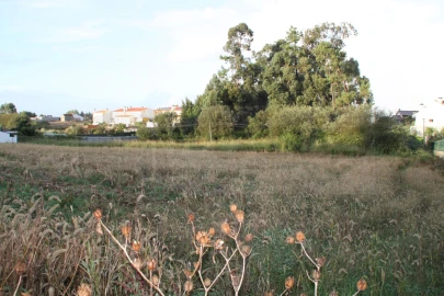 Terreno para Venda em São Bernardo