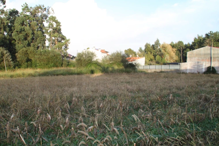 Terreno para Venda em São Bernardo Foto 2