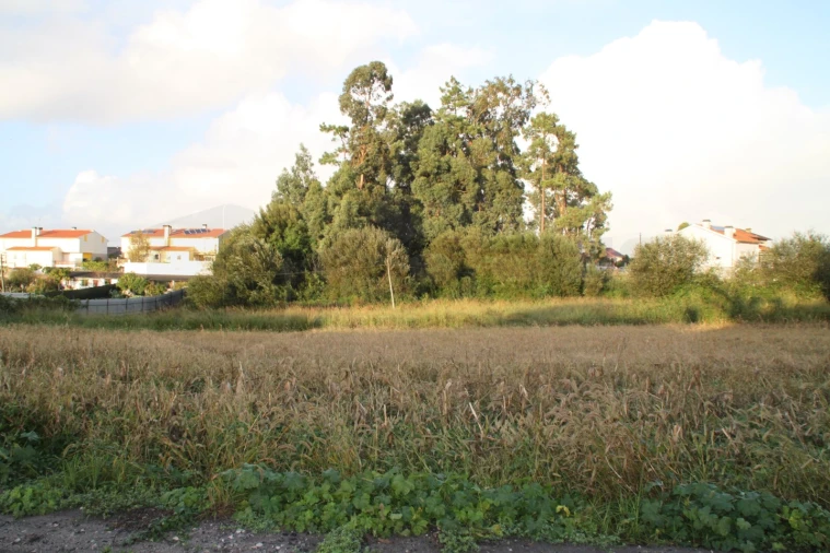 Terreno para Venda em São Bernardo