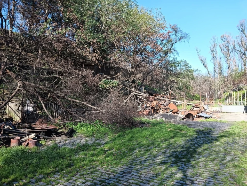 Terreno para Venda em Angeja Foto 2