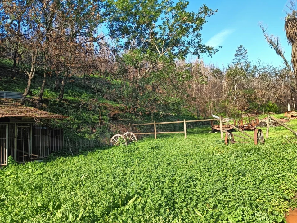 Terreno para Venda em Angeja Foto 3