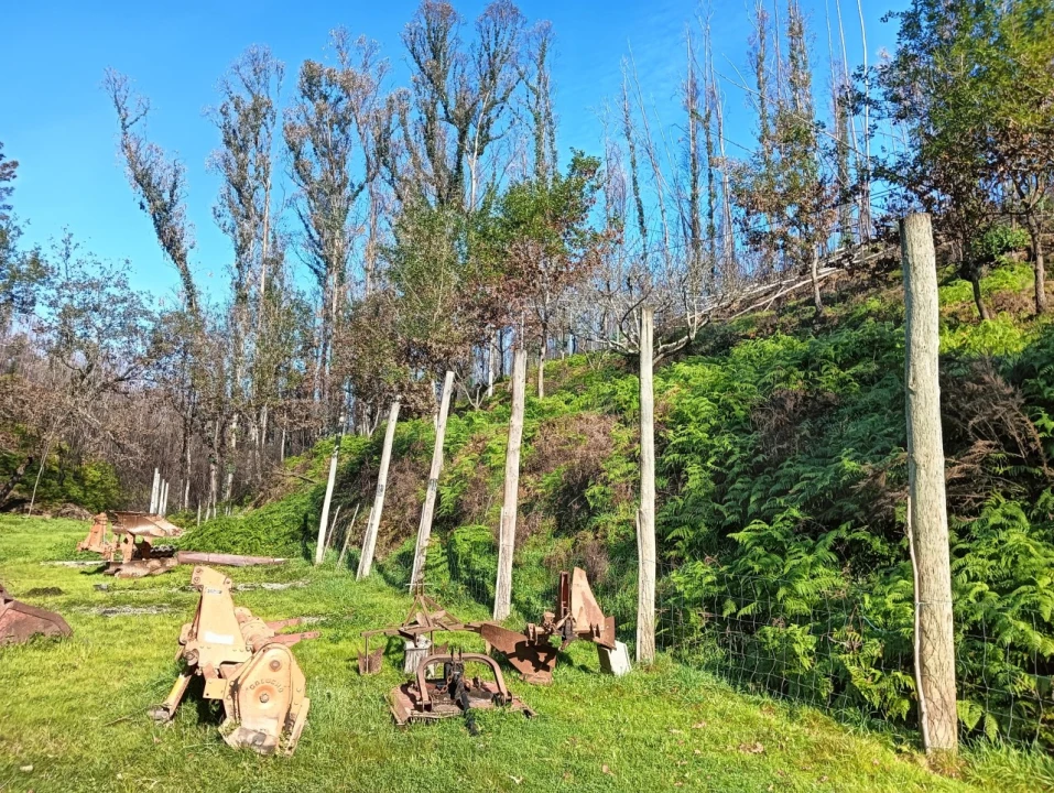 Terreno para Venda em Angeja Foto 8