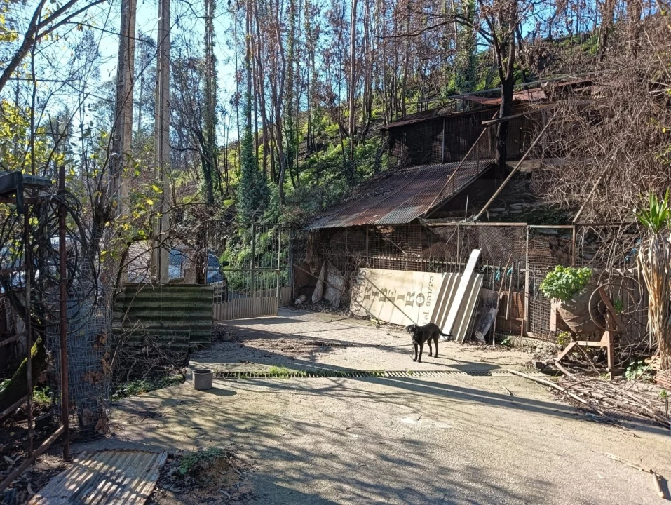Terreno para Venda em Angeja Foto 18