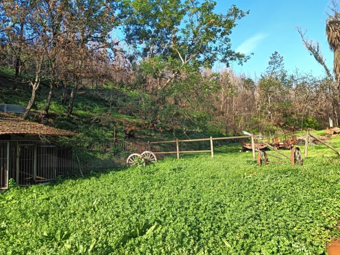 Terreno para Venda em Angeja Foto 3