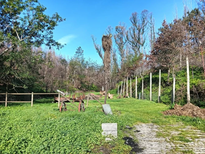 Terreno para Venda em Angeja Foto 4