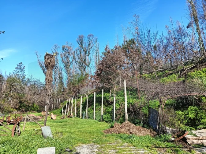 Terreno para Venda em Angeja Foto 5