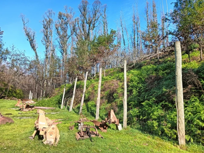 Terreno para Venda em Angeja Foto 8