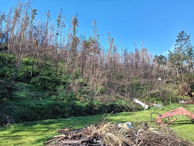 Terreno para Venda em Angeja Foto 10