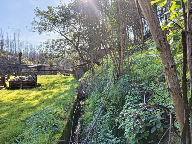 Terreno para Venda em Angeja Foto 12