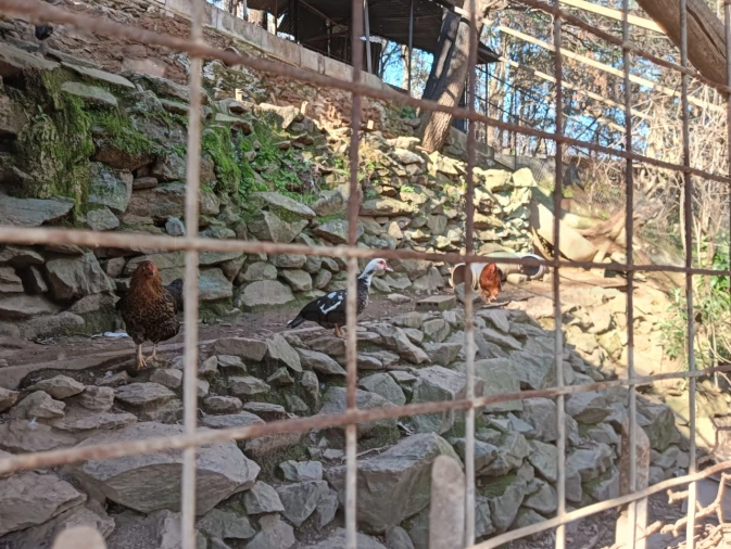 Terreno para Venda em Angeja Foto 19