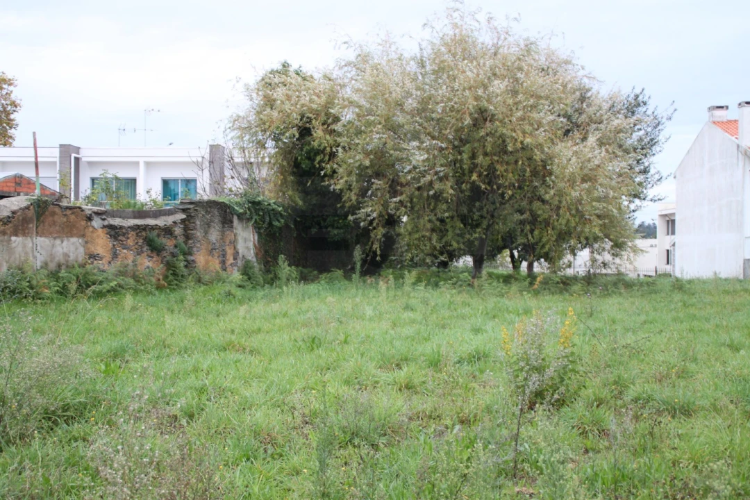 Terreno para Venda em Beduído e Veiros Foto 13