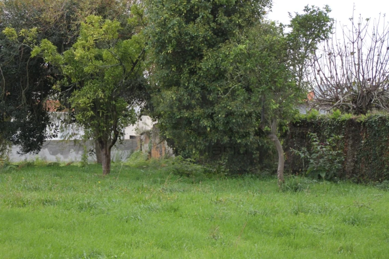 Terreno para Venda em Beduído e Veiros Foto 3