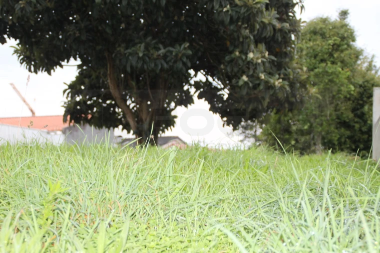 Terreno para Venda em Beduído e Veiros Foto 8