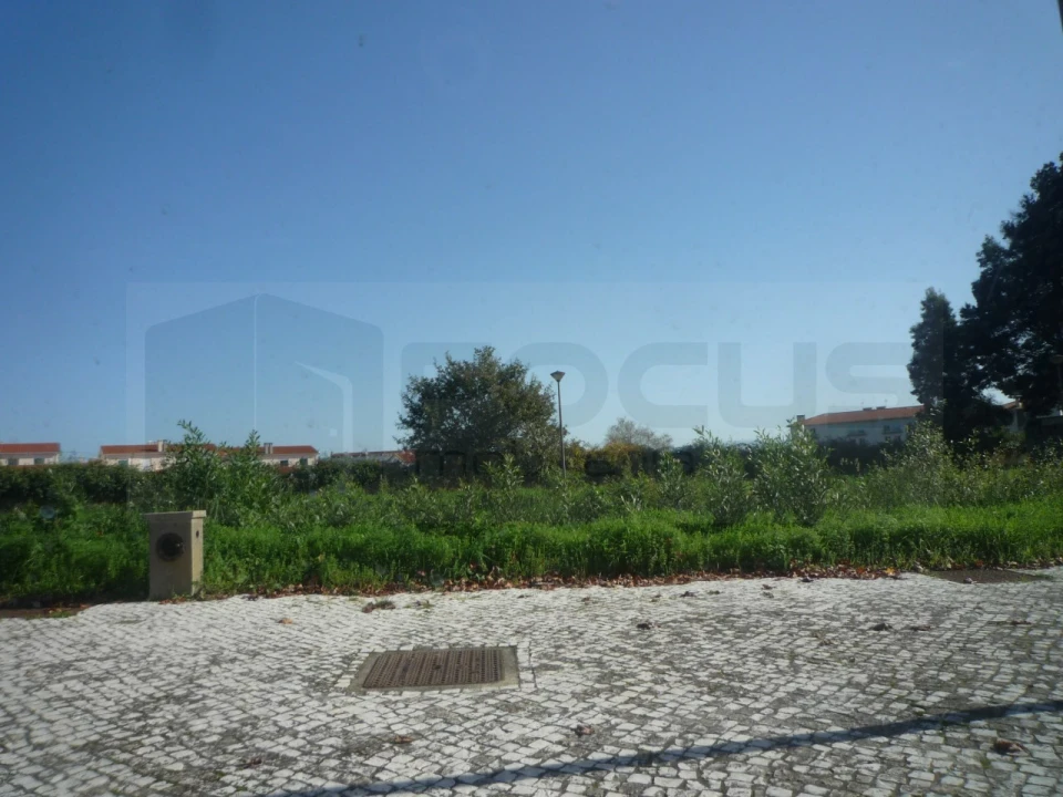 Terreno para Venda em Albergaria-A-Velha e Valmaior Foto 3