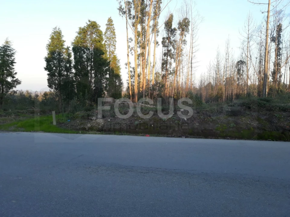 Terreno para Venda em Requeixo, Nossa Senhora de Fátima e Nariz Foto 2
