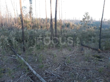 Terreno para Venda em Requeixo, Nossa Senhora de Fátima e Nariz