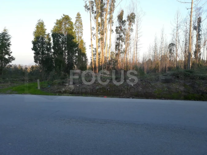 Terreno para Venda em Requeixo, Nossa Senhora de Fátima e Nariz Foto 2