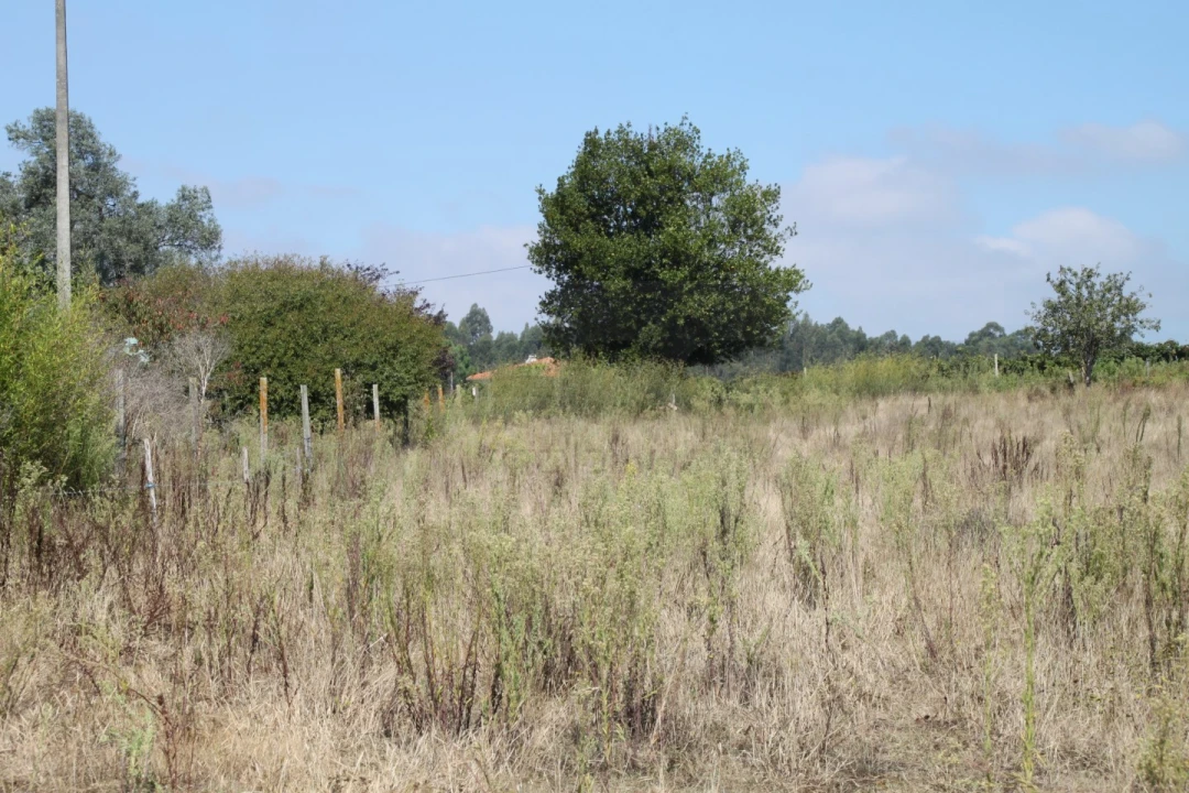 Terreno para Venda em Eixo e Eirol Foto 2