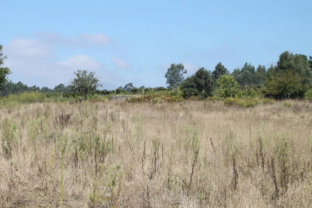 Terreno para Venda em Eixo e Eirol Foto 4