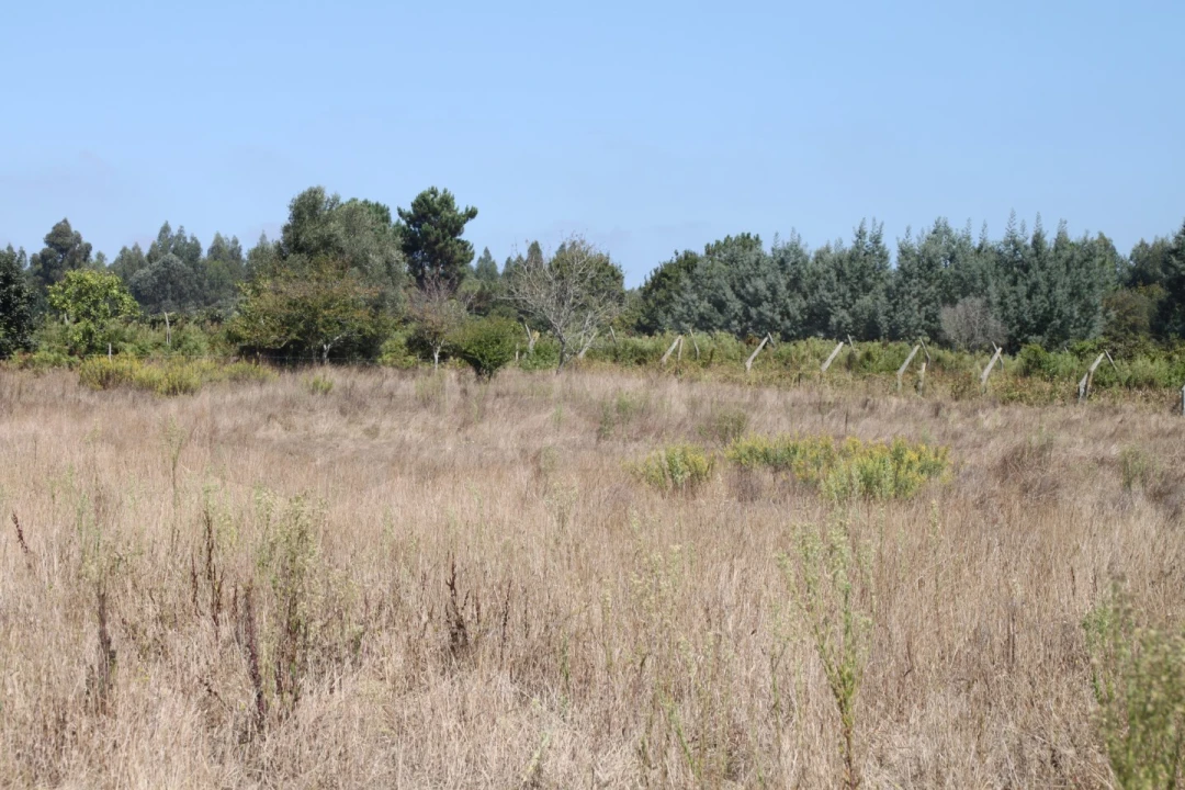 Terreno para Venda em Eixo e Eirol Foto 5