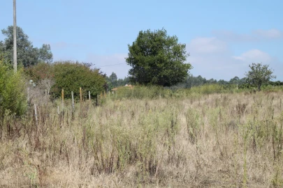 Terreno para Venda em Eixo e Eirol