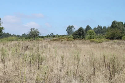 Terreno para Venda em Eixo e Eirol