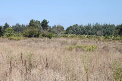 Terreno para Venda em Eixo e Eirol