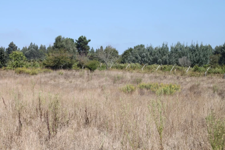 Terreno para Venda em Eixo e Eirol Foto 5