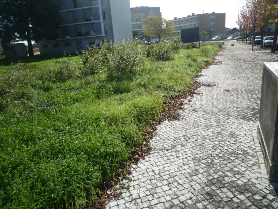 Terreno para Venda em Albergaria-A-Velha e Valmaior Foto 3