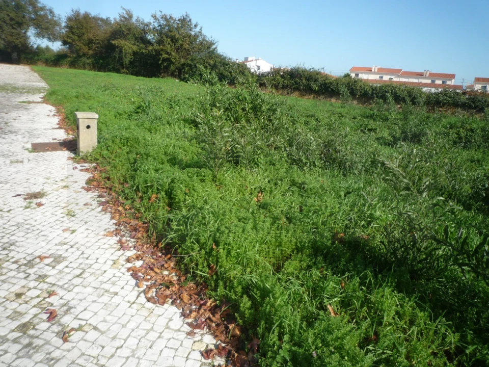 Terreno para Venda em Albergaria-A-Velha e Valmaior Foto 5