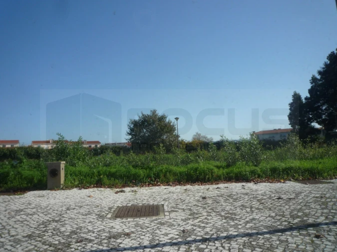Terreno para Venda em Albergaria-A-Velha e Valmaior Foto 1