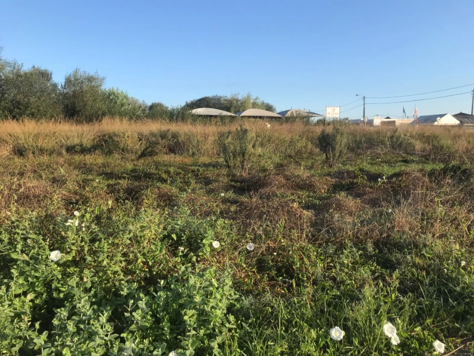 Terreno para Venda em Beduído e Veiros Foto 4
