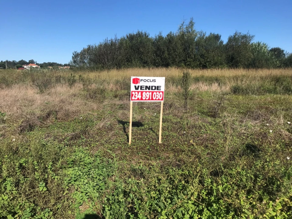 Terreno para Venda em Beduído e Veiros Foto 14