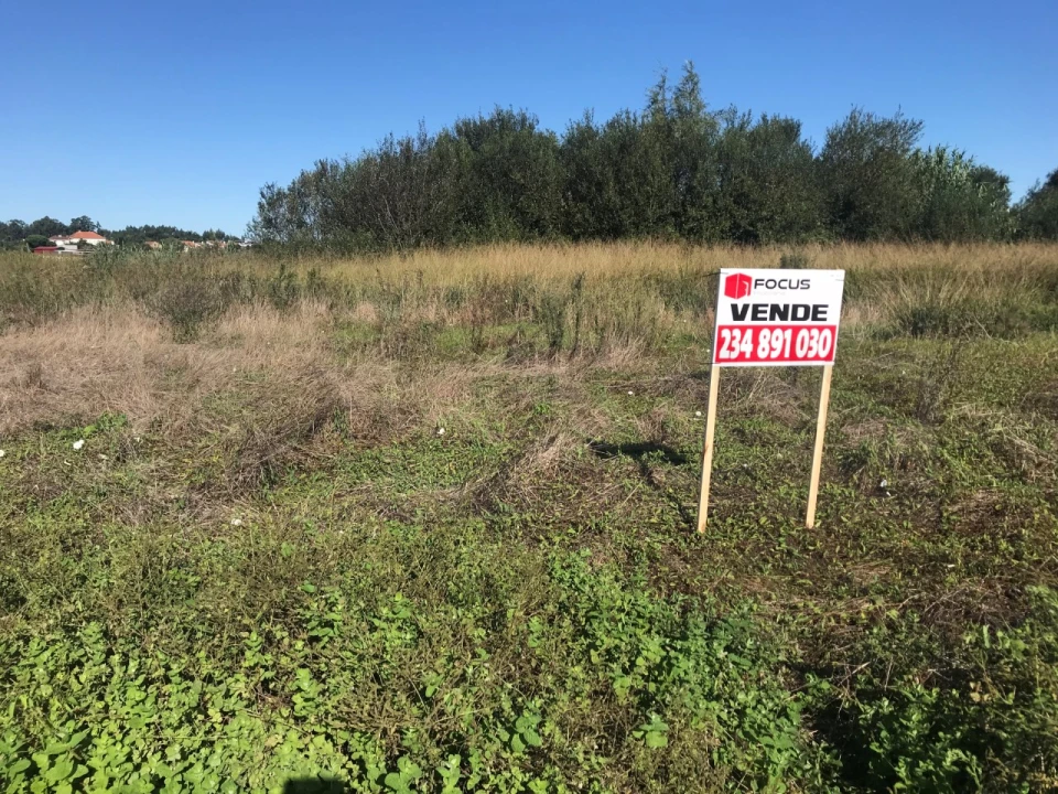 Terreno para Venda em Beduído e Veiros Foto 18