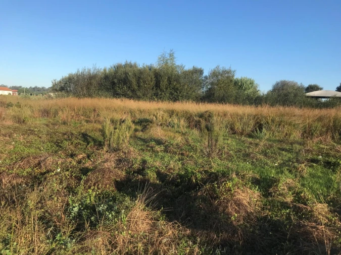 Terreno para Venda em Beduído e Veiros Foto 6