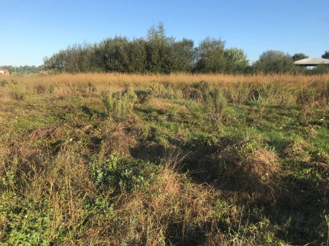 Terreno para Venda em Beduído e Veiros Foto 10