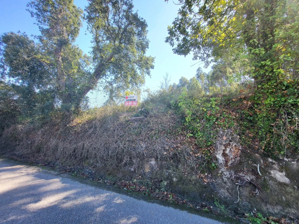 Terreno para Venda em Requeixo, Nossa Senhora de Fátima e Nariz Foto 13