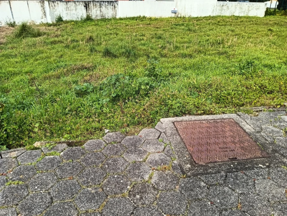 Terreno para Venda em Ílhavo (São Salvador) Foto 5