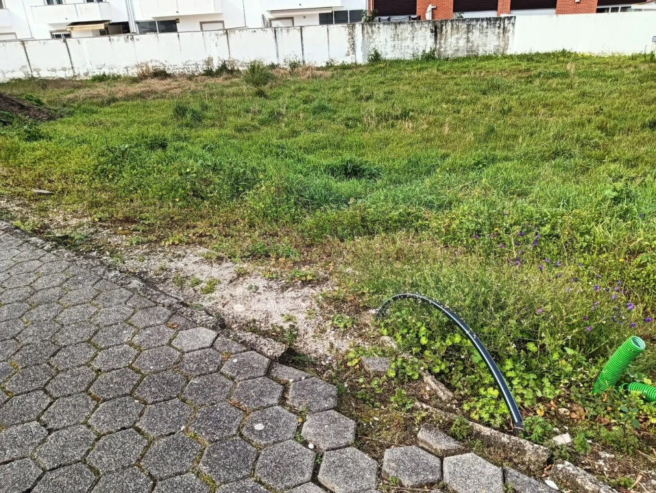 Terreno para Venda em Ílhavo (São Salvador) Foto 6